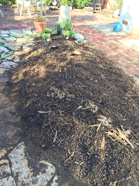 Prepared mound of soil for planting