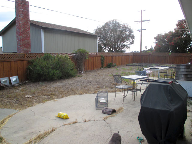Davis yard "Before"