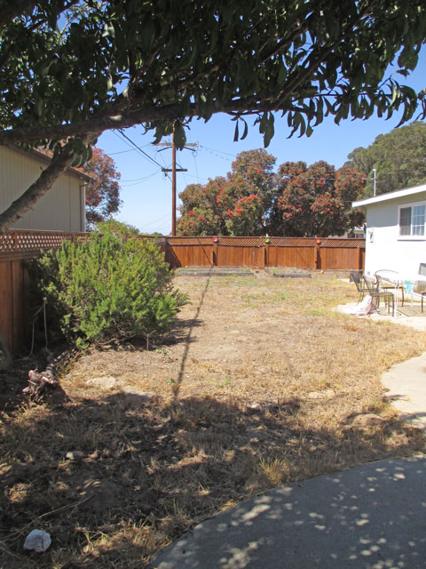 Davis yard "Before"