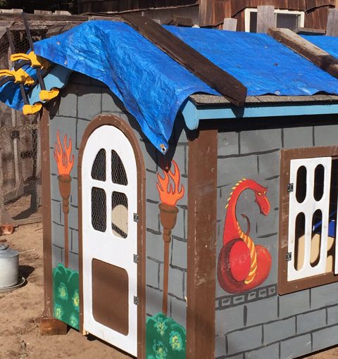 Up-cycled chicken coop
